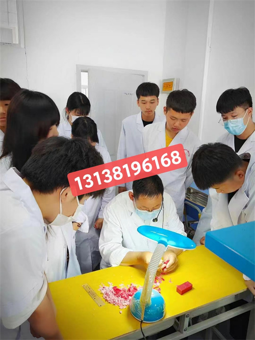 石家莊白求恩醫(yī)學(xué)院升學(xué)對口高考和單招有什么區(qū)別？