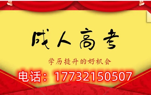 干貨！備考必讀，成考不踩雷！