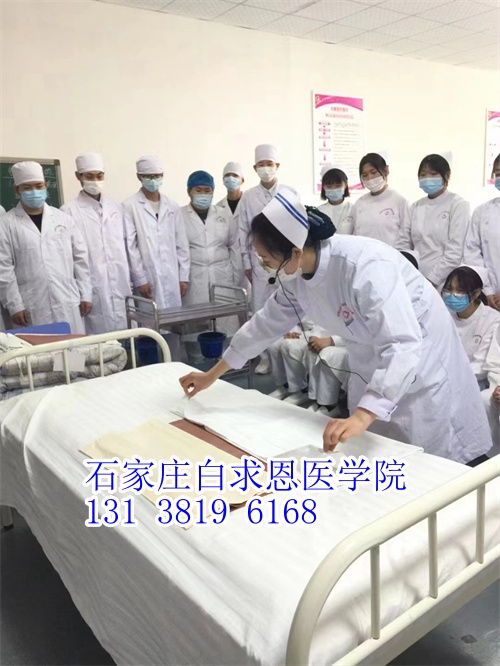 河北對口高考和對口單招有什么不同？