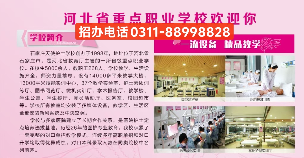石家莊天使護士學校2026年春季招生簡章