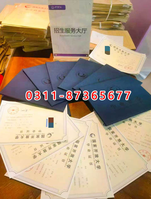 學信網上都能查詢什么學歷呢？