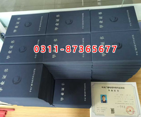 學信網上都能查詢什么學歷呢？