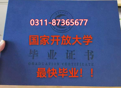 學信網上都能查詢什么學歷呢？