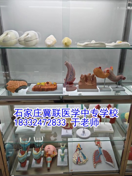 石家莊冀聯(lián)醫(yī)學(xué)中專學(xué)校護(hù)理學(xué)習(xí)什么？接觸解剖嗎？