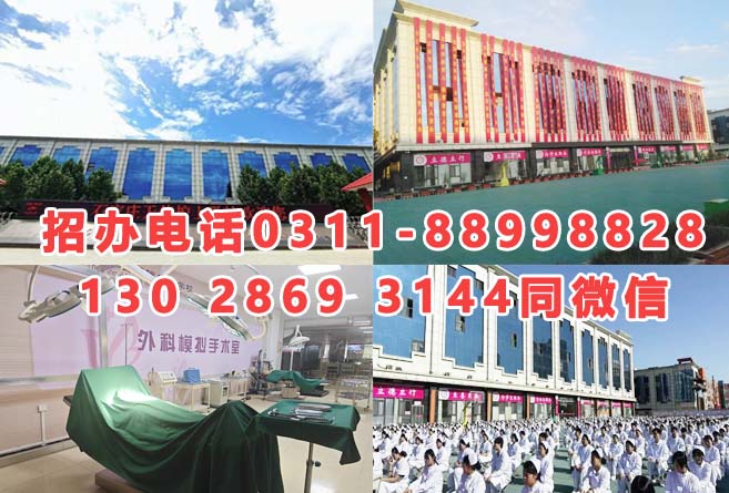 石家莊天使護士學校2026年招生分數(shù)線是多少？