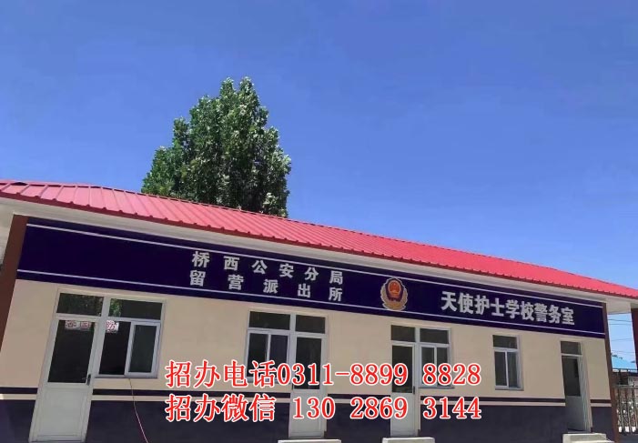 自主招生階段 不卡分 I 石家莊天使護士學校2026年秋季班招生簡章